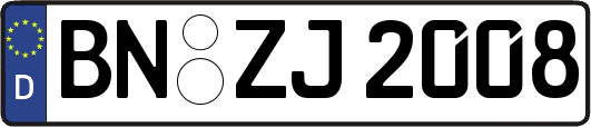 BN-ZJ2008