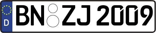 BN-ZJ2009