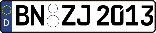 BN-ZJ2013