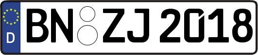 BN-ZJ2018