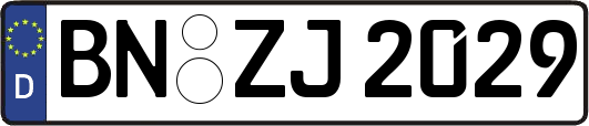 BN-ZJ2029