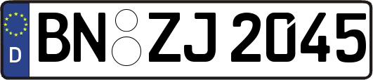 BN-ZJ2045