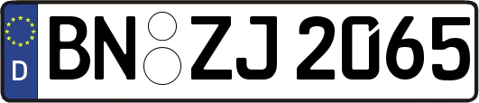 BN-ZJ2065