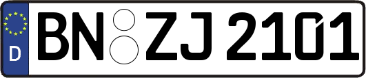 BN-ZJ2101