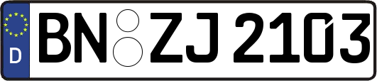 BN-ZJ2103