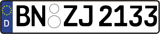 BN-ZJ2133