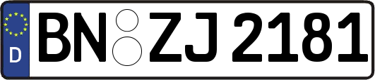 BN-ZJ2181