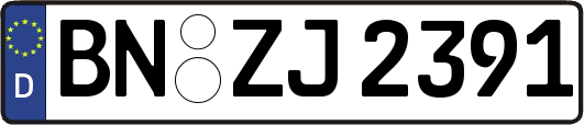 BN-ZJ2391