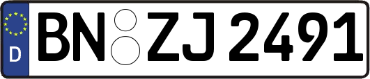 BN-ZJ2491