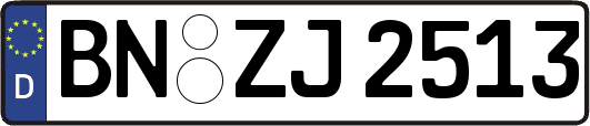 BN-ZJ2513