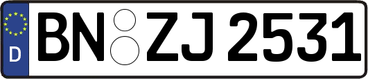 BN-ZJ2531