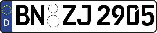 BN-ZJ2905