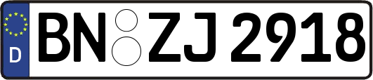 BN-ZJ2918