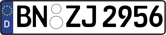 BN-ZJ2956