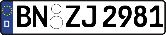 BN-ZJ2981