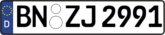 BN-ZJ2991
