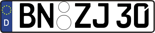 BN-ZJ30