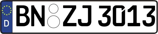 BN-ZJ3013