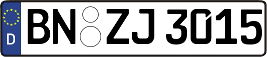 BN-ZJ3015