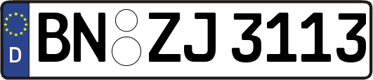 BN-ZJ3113