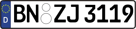 BN-ZJ3119