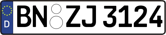 BN-ZJ3124
