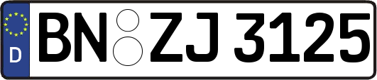 BN-ZJ3125