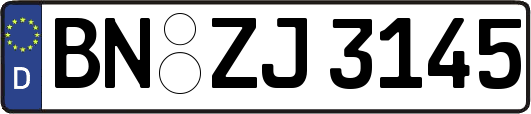 BN-ZJ3145