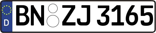 BN-ZJ3165