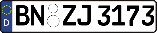 BN-ZJ3173