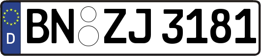 BN-ZJ3181