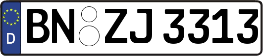 BN-ZJ3313