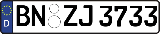 BN-ZJ3733