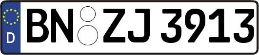 BN-ZJ3913