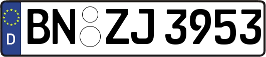 BN-ZJ3953