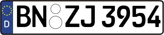 BN-ZJ3954