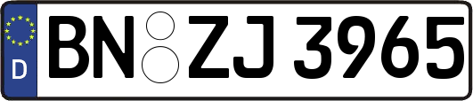 BN-ZJ3965
