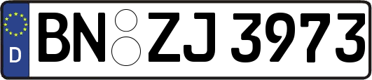 BN-ZJ3973