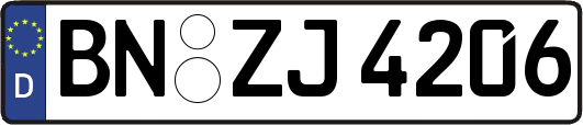 BN-ZJ4206