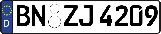 BN-ZJ4209