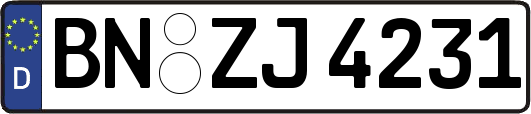 BN-ZJ4231