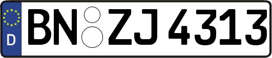 BN-ZJ4313