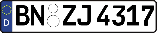 BN-ZJ4317