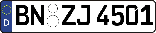 BN-ZJ4501