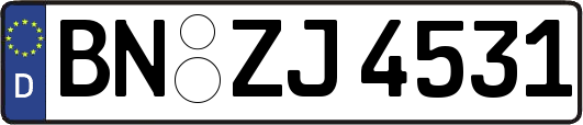 BN-ZJ4531