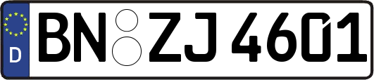 BN-ZJ4601