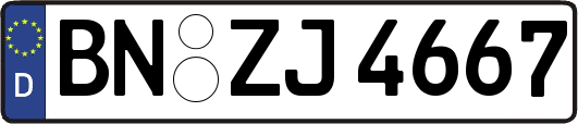 BN-ZJ4667