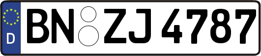 BN-ZJ4787