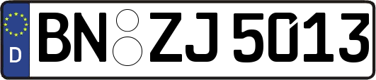 BN-ZJ5013