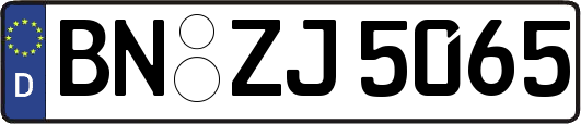 BN-ZJ5065